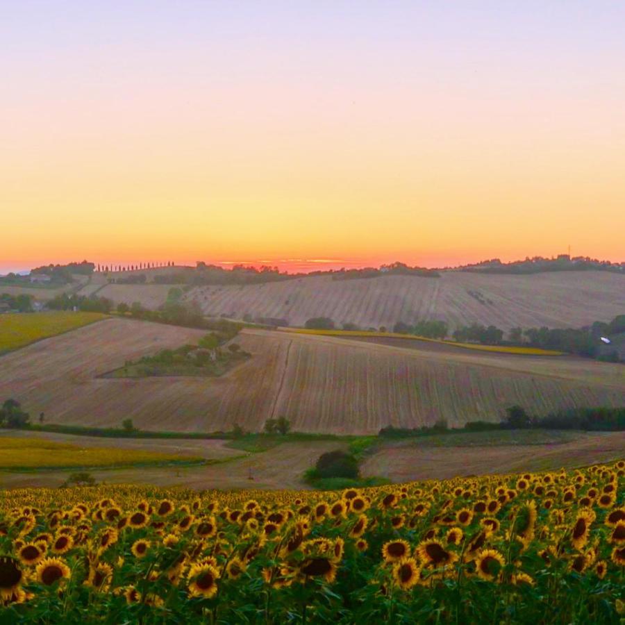 Fontebella Bed & Breakfast Montemarciano Eksteriør bilde