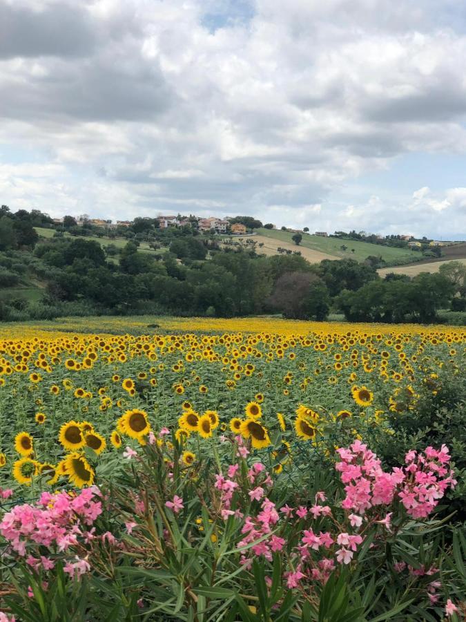 Fontebella Bed & Breakfast Montemarciano Eksteriør bilde