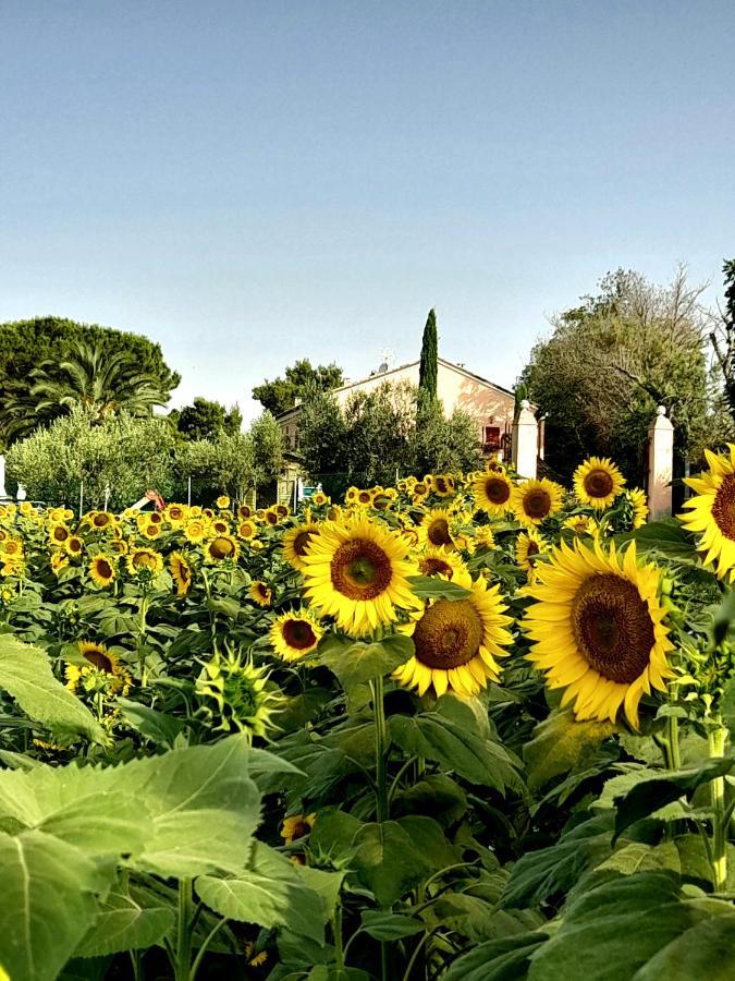 Fontebella Bed & Breakfast Montemarciano Eksteriør bilde