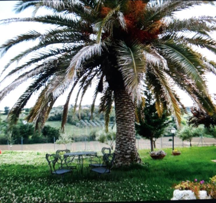 Fontebella Bed & Breakfast Montemarciano Eksteriør bilde
