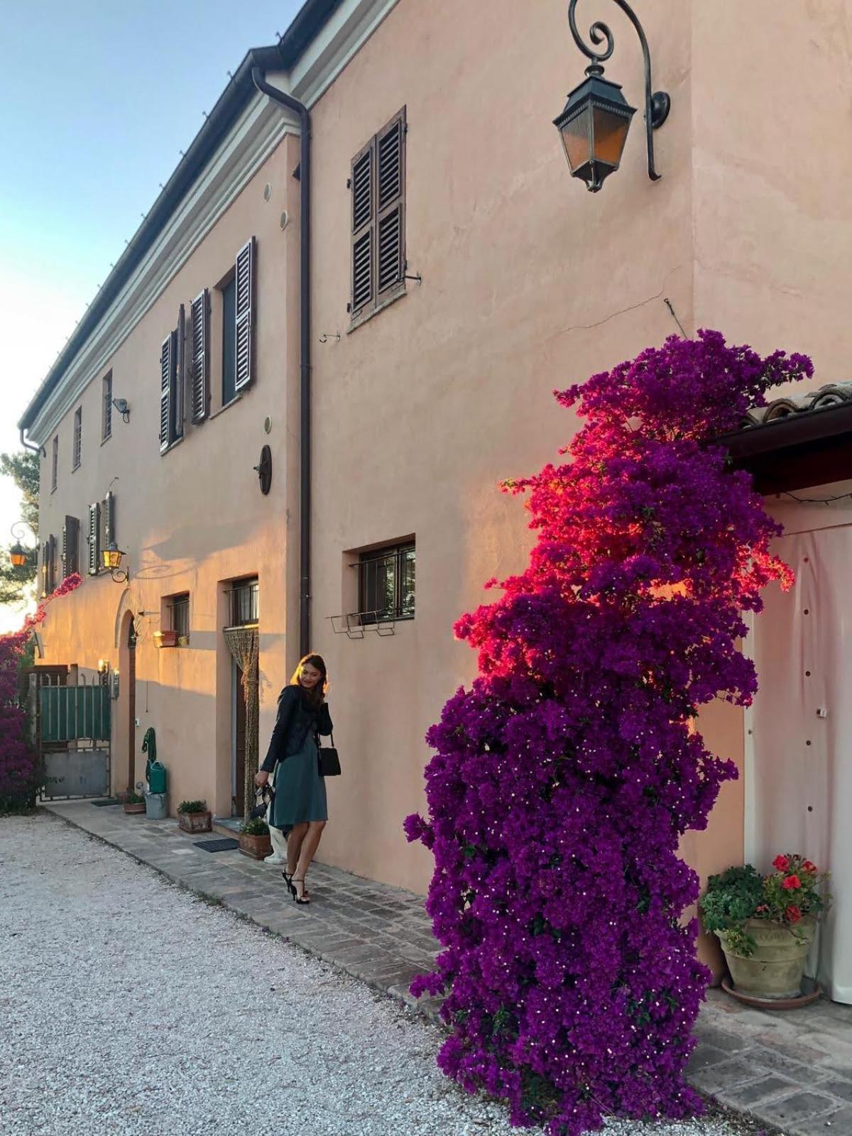 Fontebella Bed & Breakfast Montemarciano Eksteriør bilde